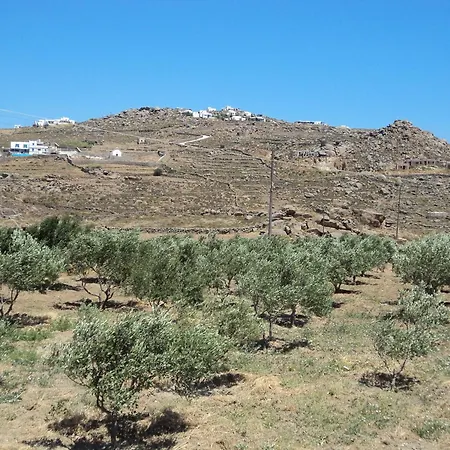 Διαμέρισμα Lino *