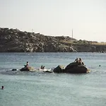 Lino * Paradise Beach (Mykonos)